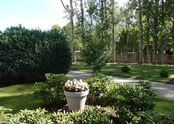 Otel Zur Saale Weißenfels